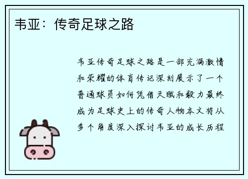 韦亚：传奇足球之路