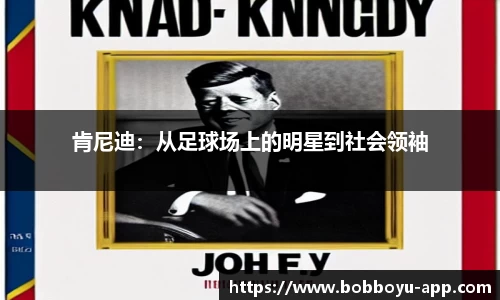 BOB博鱼
