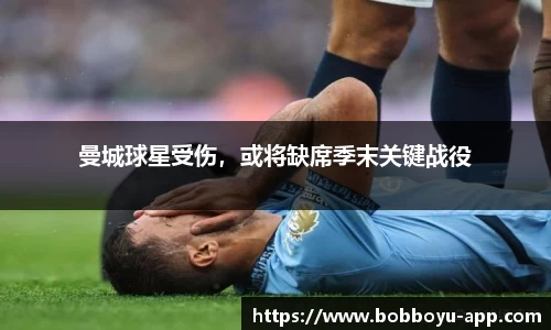 BOB博鱼