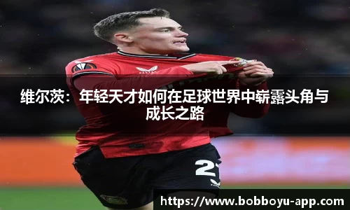 BOB博鱼官网