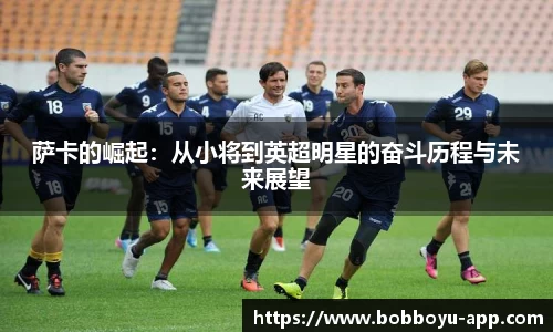 BOB博鱼